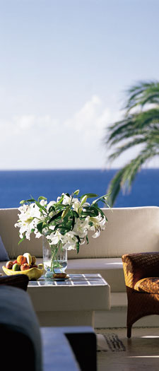 Balcony - Las Ventanas - Cabo San Lucas